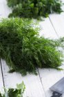 Fresh dill on table — Stock Photo