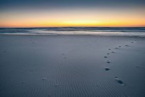 Footprints on sandy beach — Stock Photo