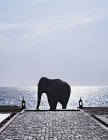 Silhouette of elephant statue on cobbled walkway — Stock Photo