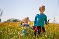 Kinder gehen im Blumenfeld spazieren — Stockfoto