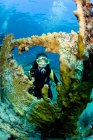 Аквалангистка, плавающая под водой — стоковое фото