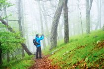 Parque Nacional Shenandoah, Virginia - foto de stock