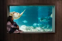 Mädchen beobachtet Meeresschildkröte im Aquarium — Stockfoto