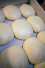 Pizza dough loaves — Stock Photo