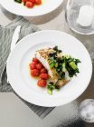 Huhn mit Tomaten und Salat — Stockfoto