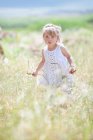Девушка ходит в высокой траве — стоковое фото