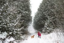 Сестри досліджують засніжений ліс з собакою — стокове фото