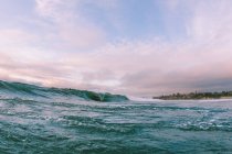 Surfer on ocean wave near coast — Stock Photo