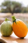 Close up shot of green and orange zucchini gourds — Stock Photo