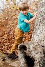 Ragazzo nella foresta, albero rampicante — Foto stock