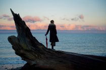 Mulher apoiando-se no guarda-chuva em pé no tronco grande árvore driftwood na praia — Fotografia de Stock