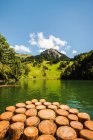 Tronchi d'albero nel lago tranquillo — Foto stock