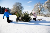 Crianças puxando árvore de Natal na neve — Fotografia de Stock