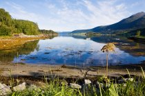 View of rodvenfjord at daytime — Stock Photo