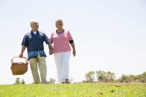 Senior couple walking hand in hand carrying picnic basket — Stock Photo