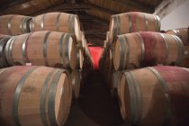 Vista de Barris de vinho na adega — Fotografia de Stock