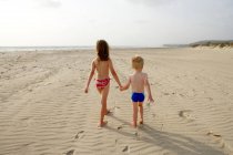 Вид сзади на брата и сестру, гуляющих по пляжу — стоковое фото