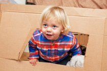 Мальчик играет с картонной коробкой в гостиной — стоковое фото