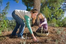 Mother and daughter collecting pinecones — Stock Photo