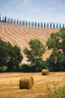 Heuballen im Getreidefeld — Stockfoto