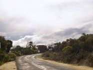 Nuvens baixas e estrada vazia rodeada de árvores verdes — Fotografia de Stock