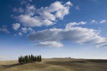 Vista de ciprestes, Siena, Valle D 'Orcia, Toscana, Itália — Fotografia de Stock