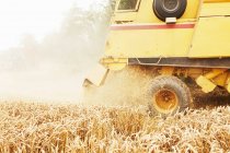 Raccolta di cereali da trattore nel campo coltivato — Foto stock