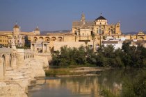 Ponte romano e moschea a Cordova, Spagna — Foto stock