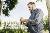 Scientist examining seedling at plant growth research centre — Stock Photo
