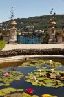 Lily pads in ornate fountain, piedmont, italy — Stock Photo