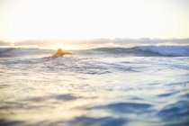 Surferin schwimmt auf Wellen auf Surfbrett, Sydney, Australien — Stockfoto