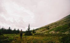 Vista traseira do homem caminhando sozinho na paisagem do vale, Montanhas Urais, Rússia — Fotografia de Stock