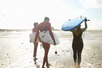 Gruppo di surfisti diretti verso il mare, con tavole da surf, vista posteriore — Foto stock