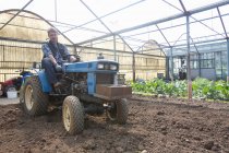 Органический фермер на тракторе поддерживает почву в политоннеле — стоковое фото