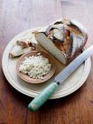 Crusty breadcrumbs on plate — Stock Photo