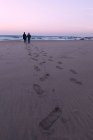 Отец и сын идут по пляжу, вид сзади, Южная Африка — стоковое фото