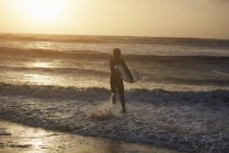 Junge männliche Surfer tragen Surfbrett läuft ins Meer, devon, england, uk — Stockfoto