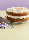 Frosted cake on cooling rack — Stock Photo