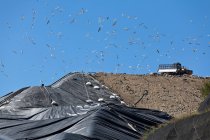Birds flying over machinery in landfill — Stock Photo