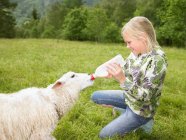 Jeune fille souriant et nourrissant un agneau — Photo de stock