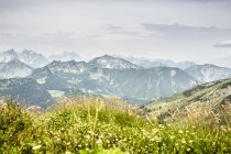 Вид на пейзаж гор — стоковое фото