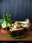 Bok choy, kaffir lime, ginger, shallots and spring onions on table — Stock Photo