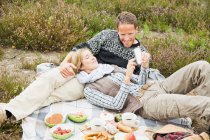 Mediados de pareja adulta teniendo picnic - foto de stock