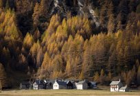 Small town in wood under mountain — Stock Photo