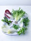 Différentes feuilles de salade — Photo de stock