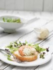 Assiette de fruits de mer avec micro salade de feuilles vertes mélangées et bébé chard — Photo de stock