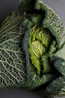Head of cabbage on grey surface — Stock Photo