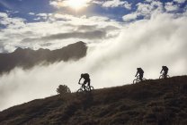 Три человека катаются на горных велосипедах, Вале, Швейцария — стоковое фото