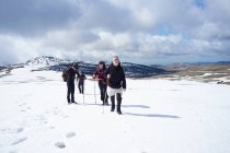 Cuatro hombres caminando en la nieve, Montañas Bucegi, Transilvania, Rumania - foto de stock