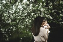 Через плечо портрет женщины целующей маленькую дочь садовым цветом яблони — стоковое фото